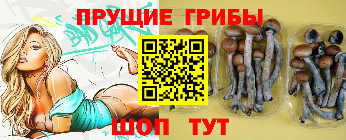 Белгород  Галлюциногенные грибы прущие грибы  Вход с VPN 