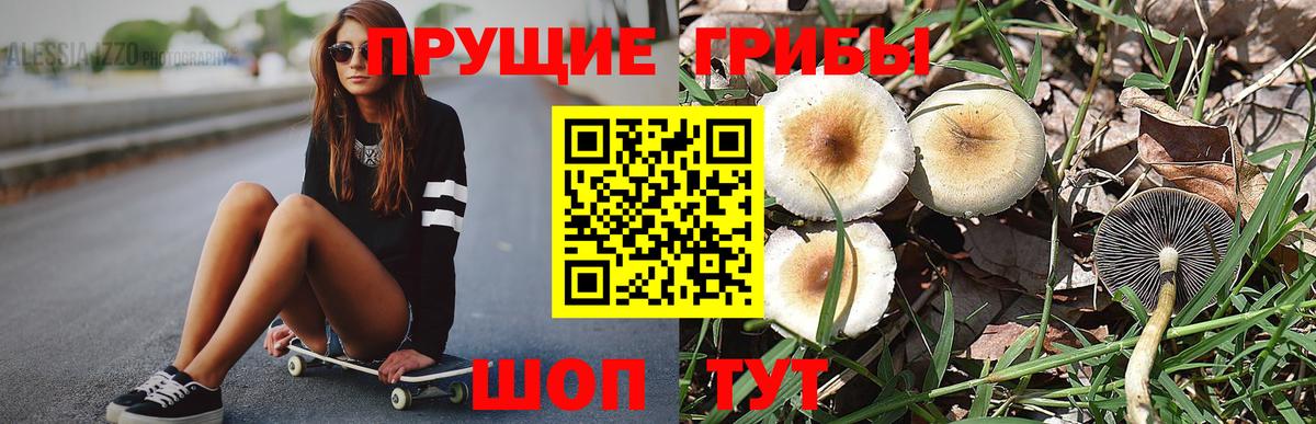 Галлюциногенные грибы мицелий Белгород